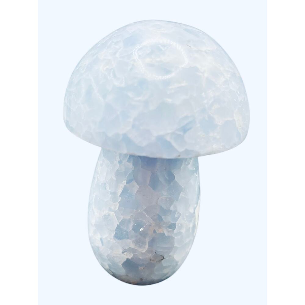 Blue Calcite Mushroom 1377 ctw  3 1/2” T x 2 1/2” W 1377 ctw